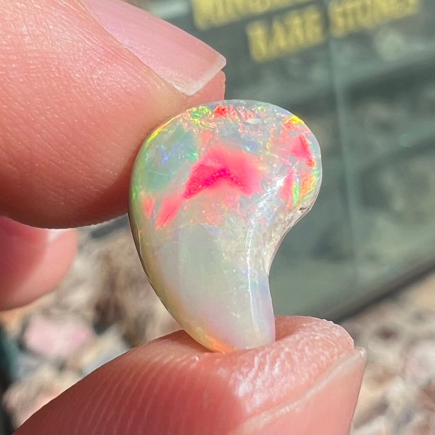 A loose, drop shaped opal stone from Lightning Ridge, Australia. The stone has bright red fire.