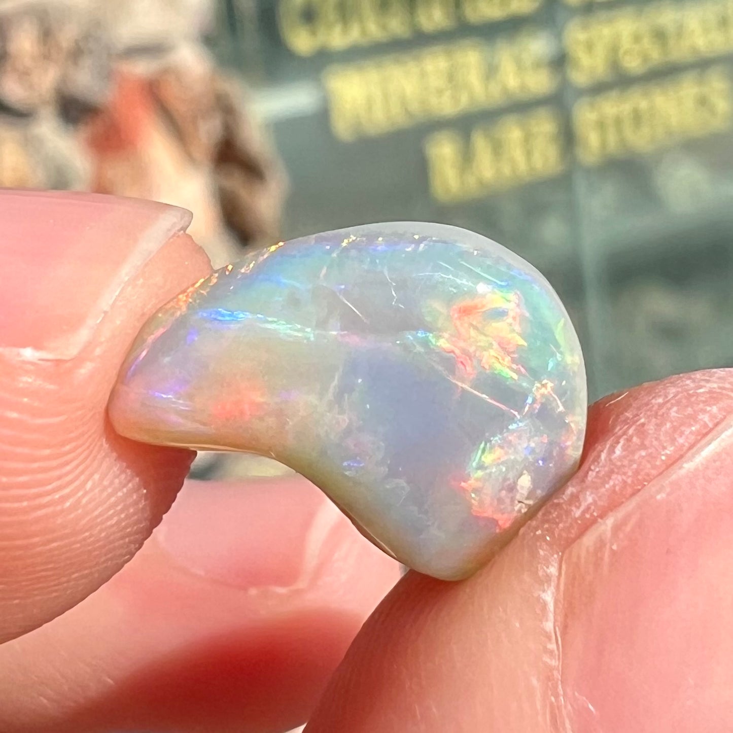 A loose, drop shaped opal stone from Lightning Ridge, Australia. The stone has bright red fire.