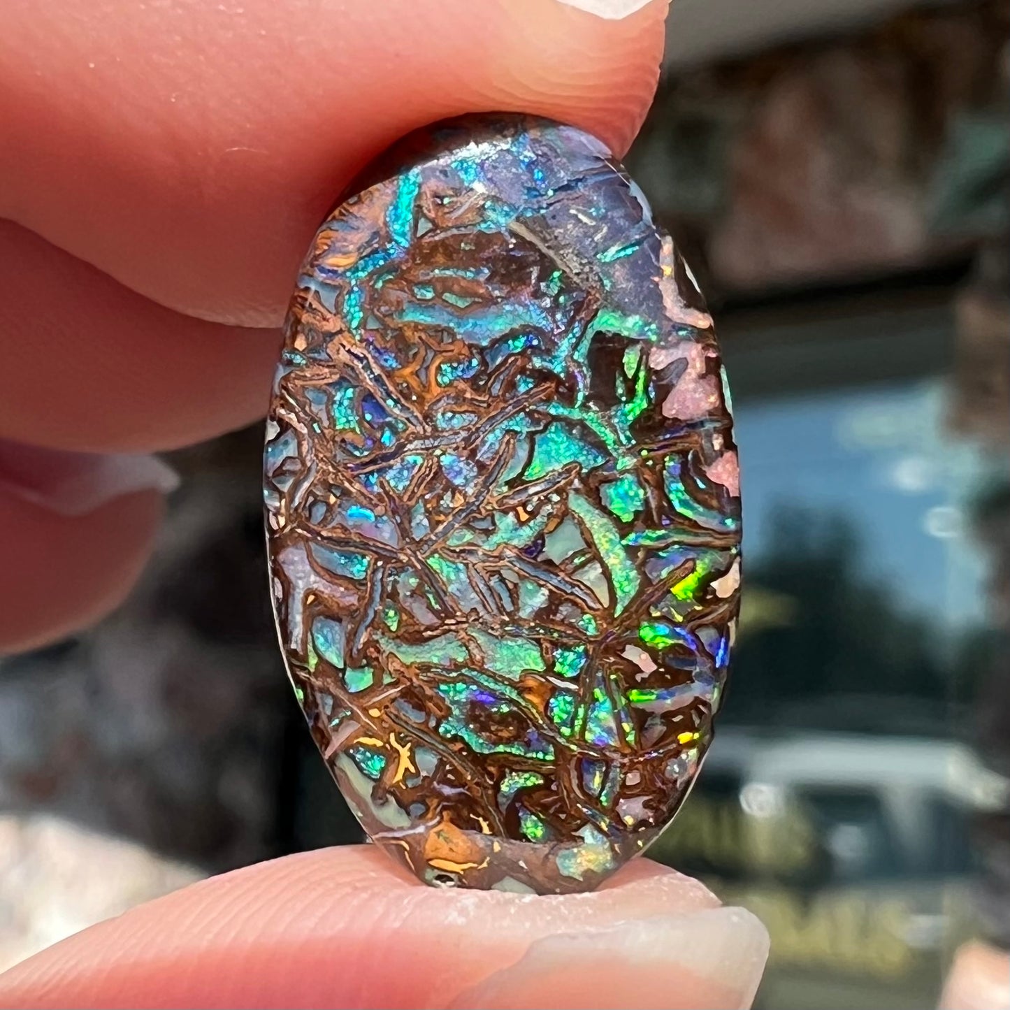 A loose, oval cabochon cut Koroit boulder opal stone. The opal has green and blue veins.