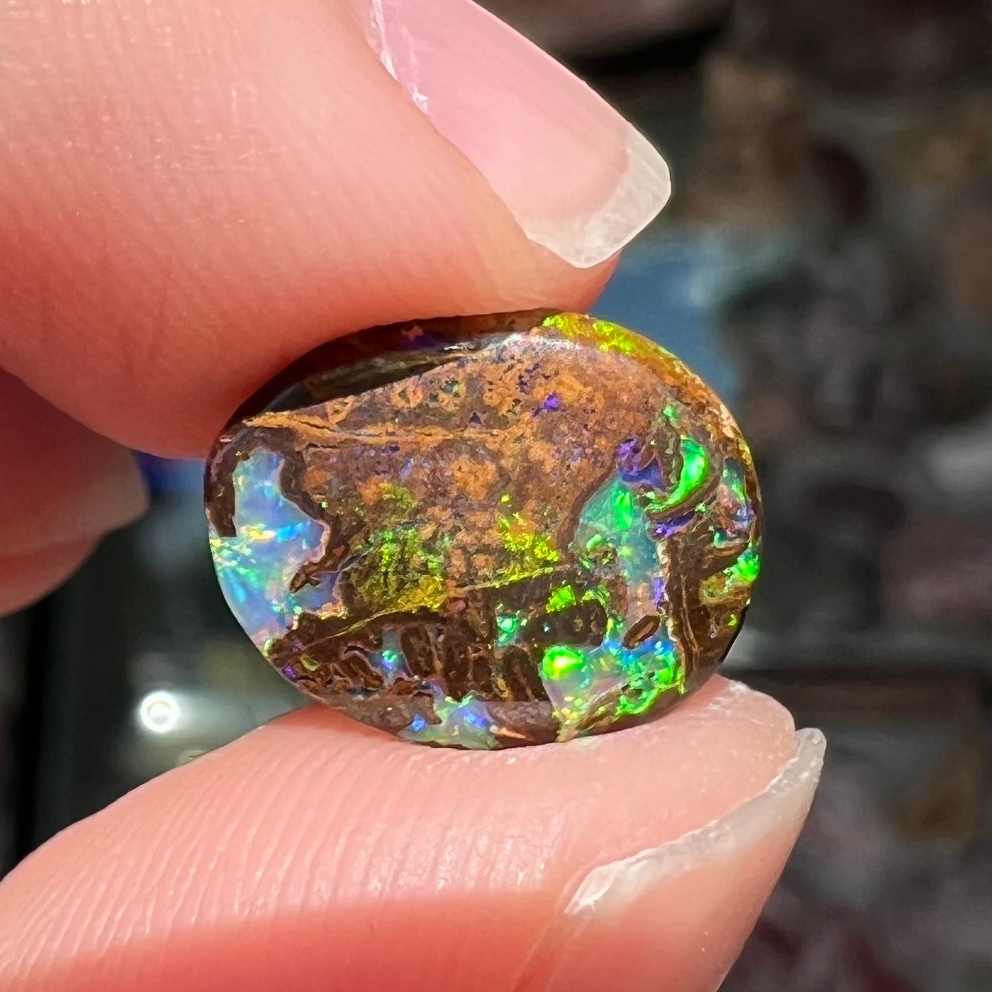A bright green boulder opal stone from Koroit, Australia.