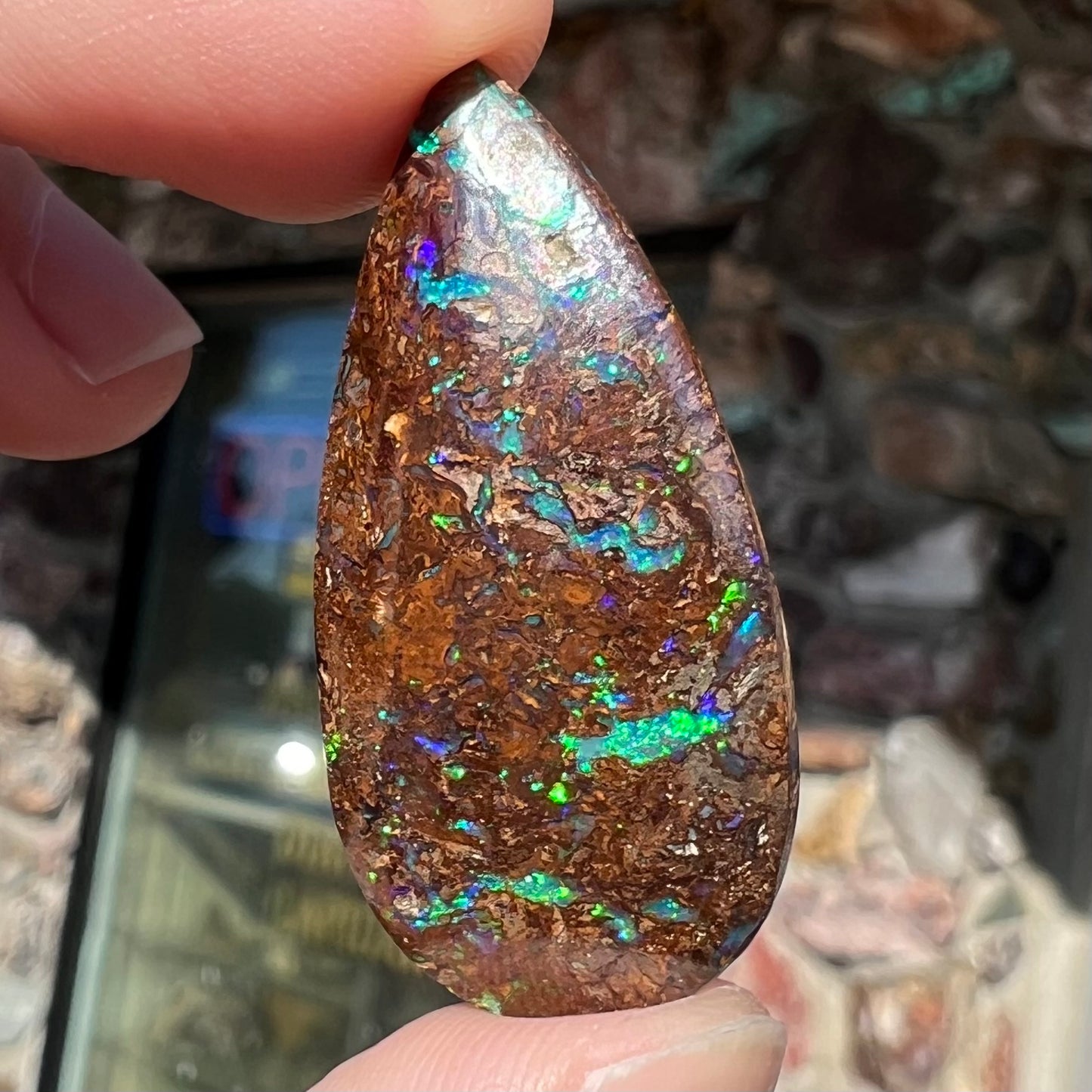 A pear shaped boulder opal stone from Koroit, Australia. The opal has blue and green flashes.