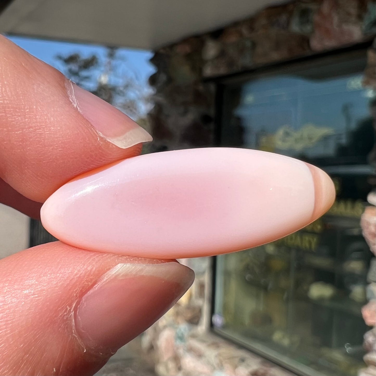 A loose, marquise cabochon cut pink common opal from Peru. The opal has no play of color.
