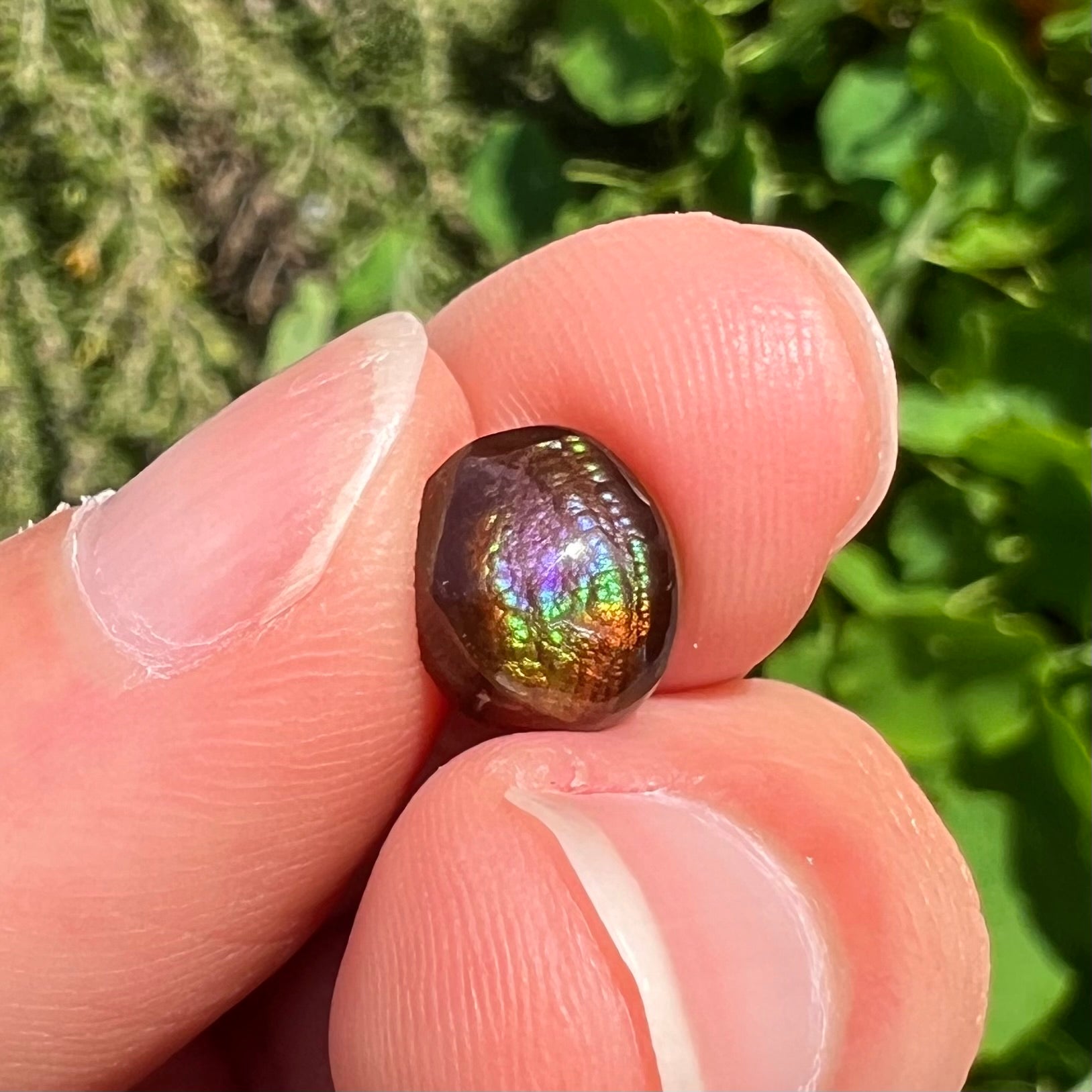 A loose, oval cabochon cut fire agate stone from Mexico.  The stone has an iridescent purple and teal blue eye of color.