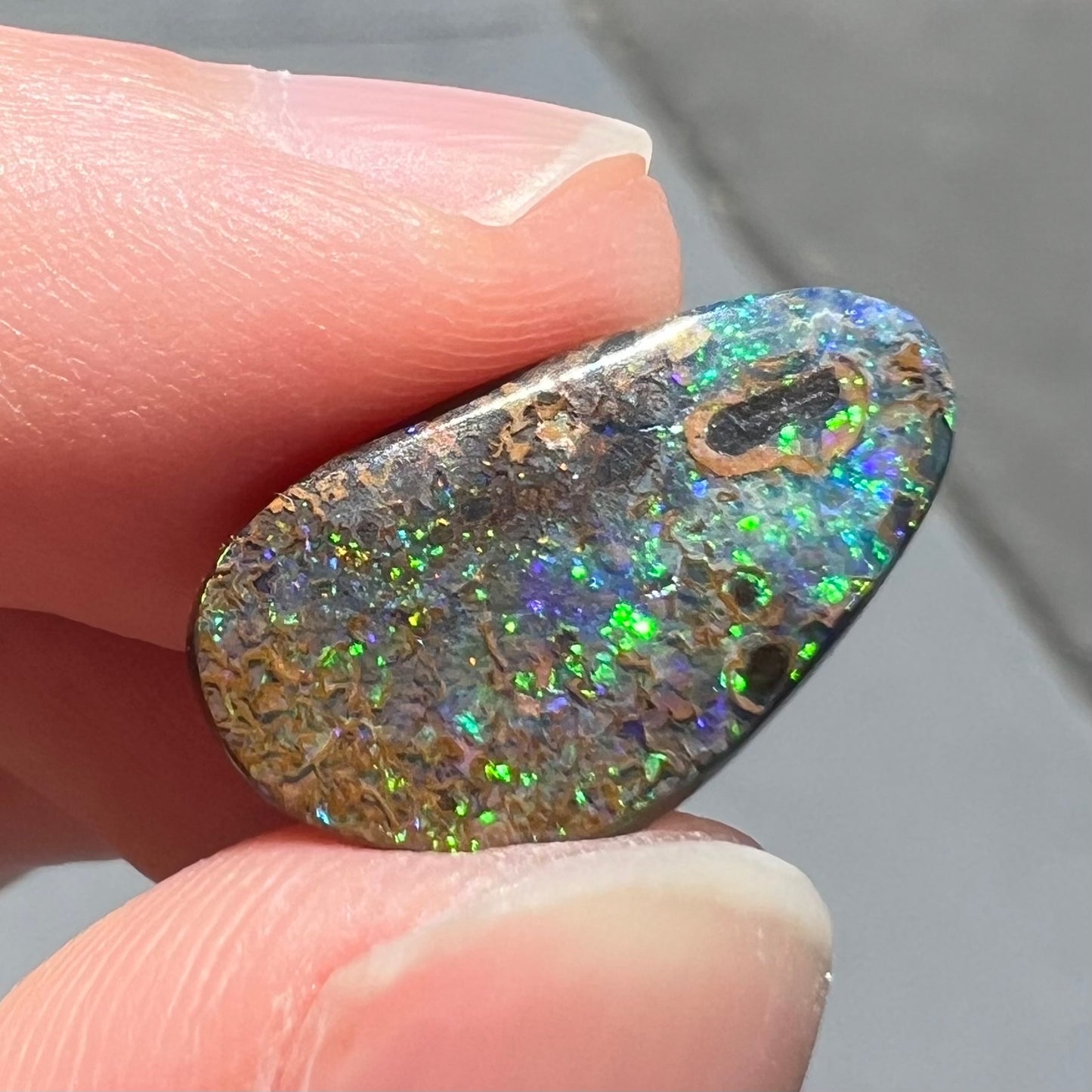 A loose boulder opal stone from Quilpie, Australia. The opal shines colors of green and orange.