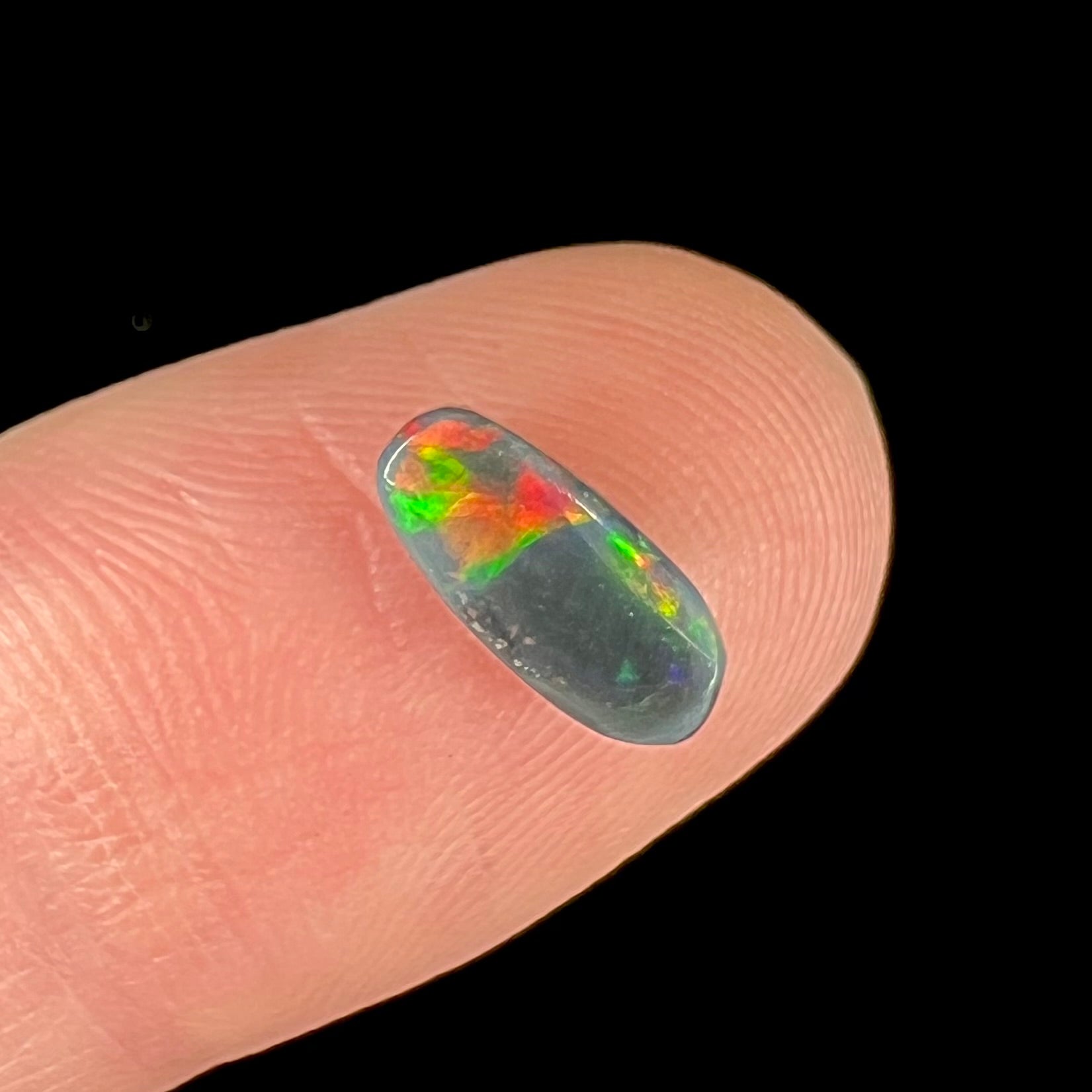 A loose black opal from Lightning Ridge, Australia.  The opal shines colors of red, green, and blue.