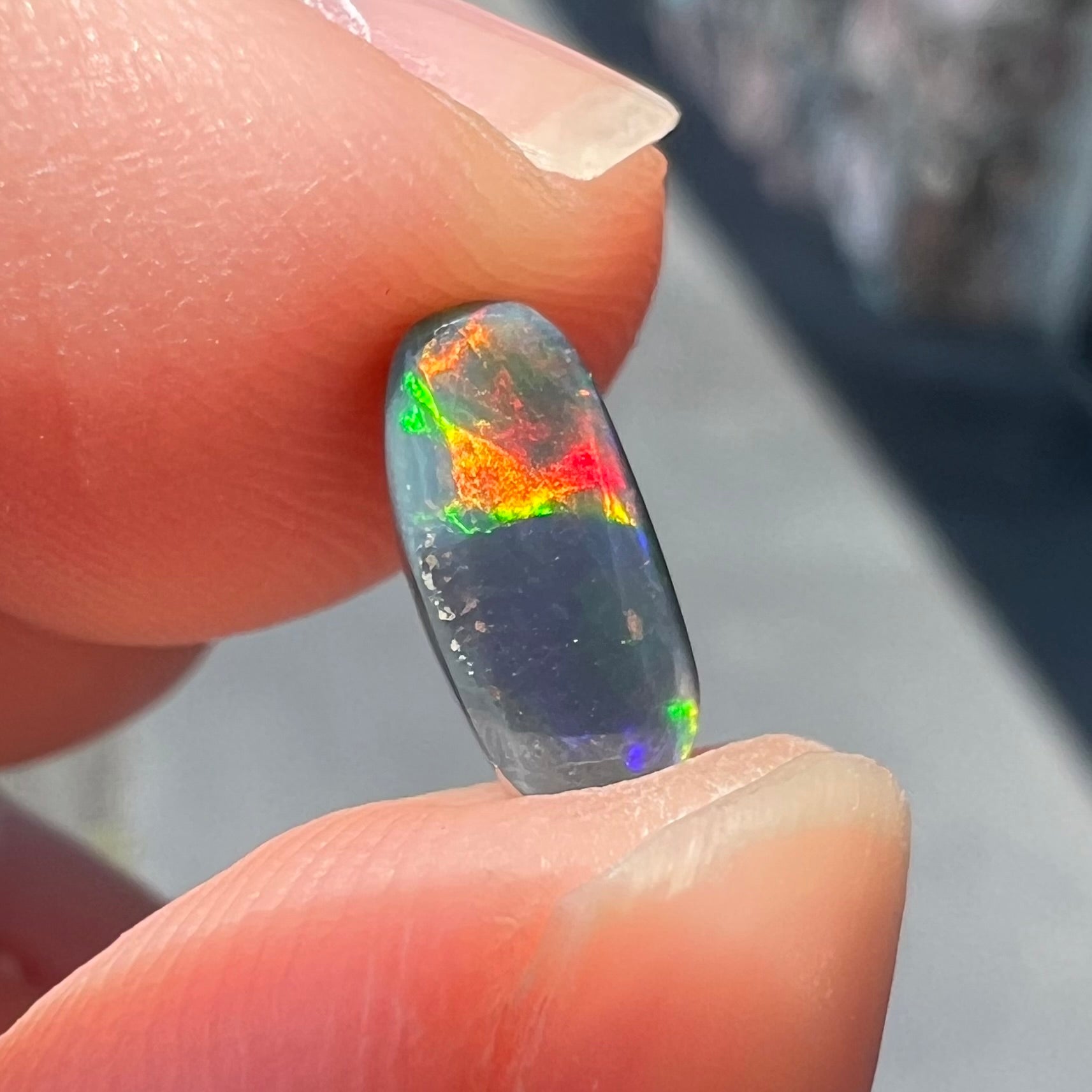 A loose black opal from Lightning Ridge, Australia.  The opal shines colors of red, green, and blue.