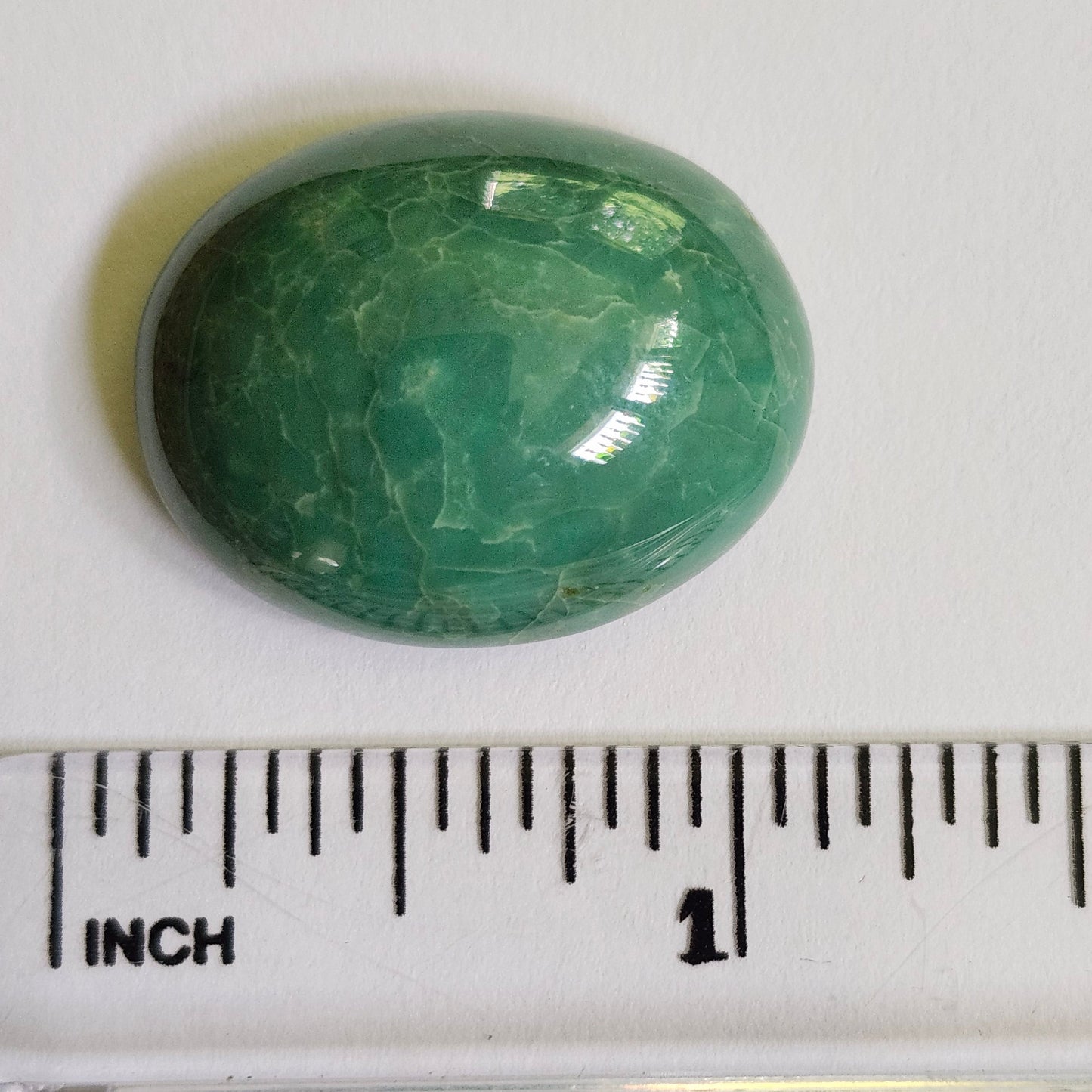 Turquoise #252 | Royston | Oval Cabochon Cut