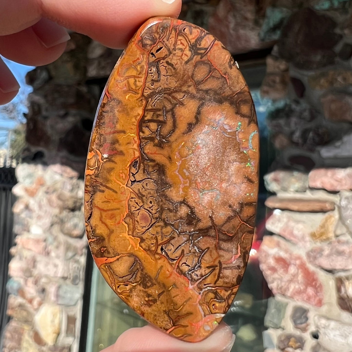 A polished boulder opal stone from Koroit, Australia. The stone has been drilled with a bead hole.