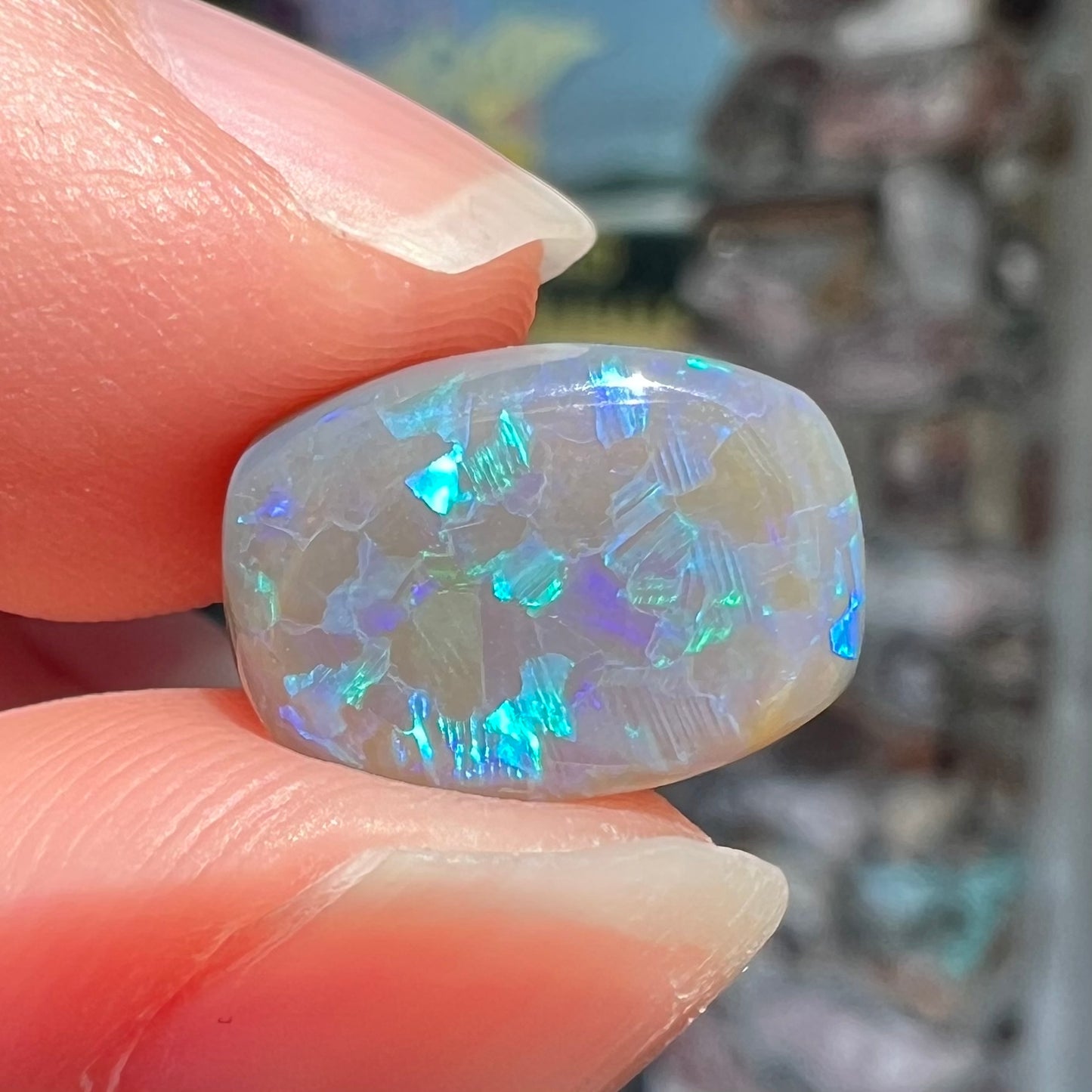 A loose, barrel shaped semi-black opal from Lightning Ridge, Australia. The opal has blue colors.
