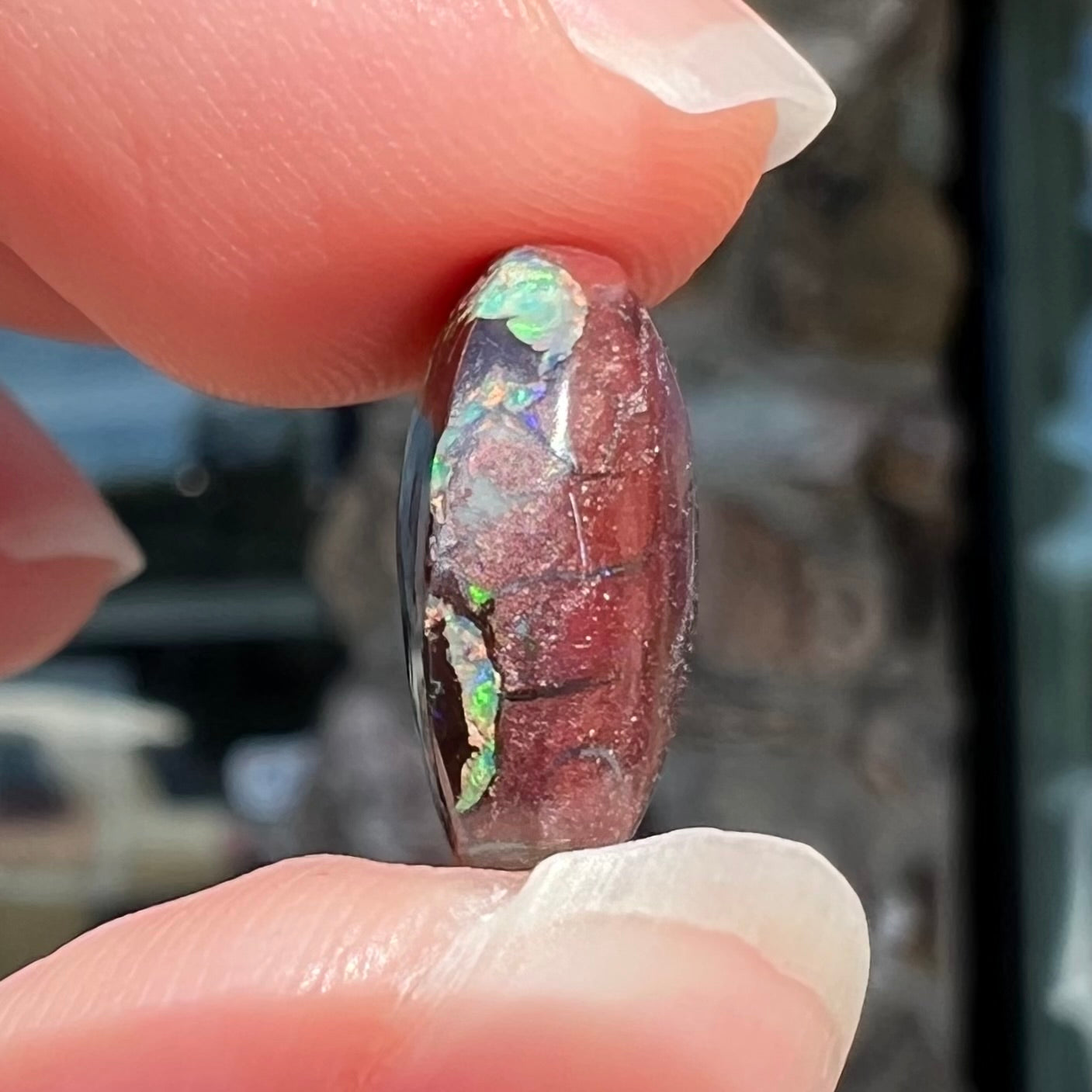 An off-round cabochon cut boulder opal stone from Koroit, Australia. The opal has green, blue, and red colors.