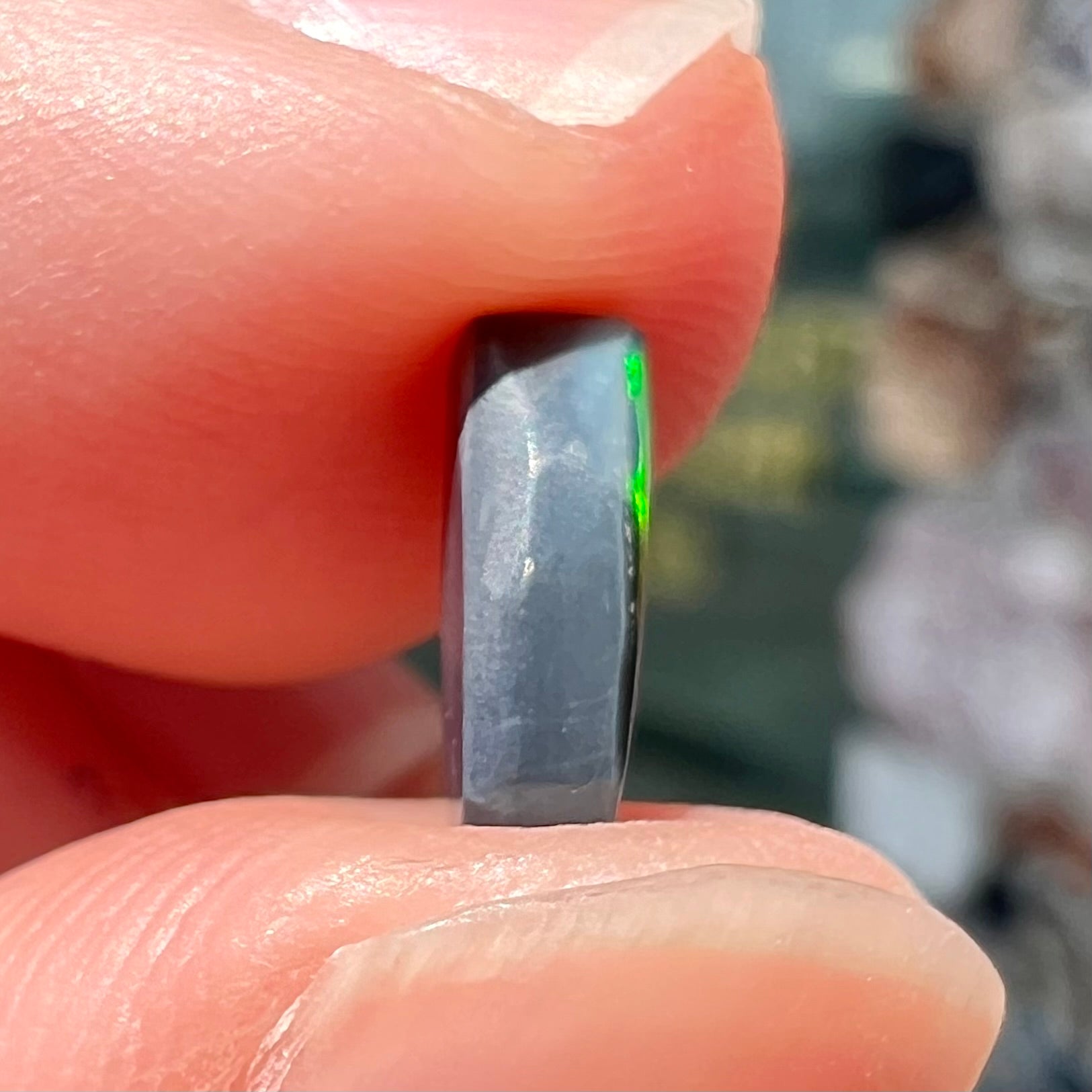 A loose black opal from Lightning Ridge, Australia.  The opal shines colors of red, green, and blue.