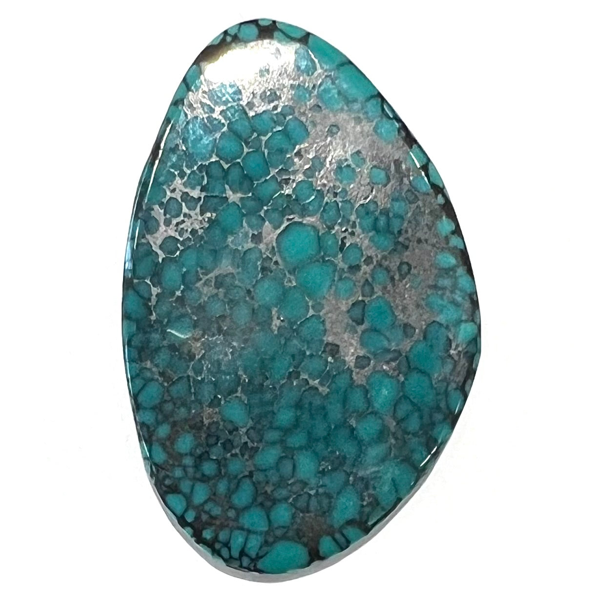 A polished, freeform shaped spiderweb turquoise cabochon from Lone Mountain Mine in Esmeralda County, Nevada.