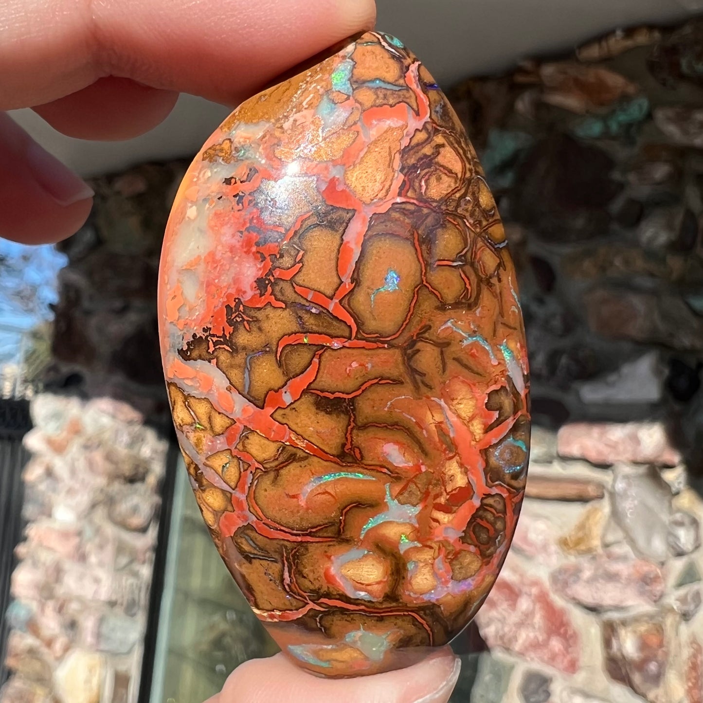 A polished boulder opal stone from Koroit, Australia. The stone has been drilled with a bead hole.