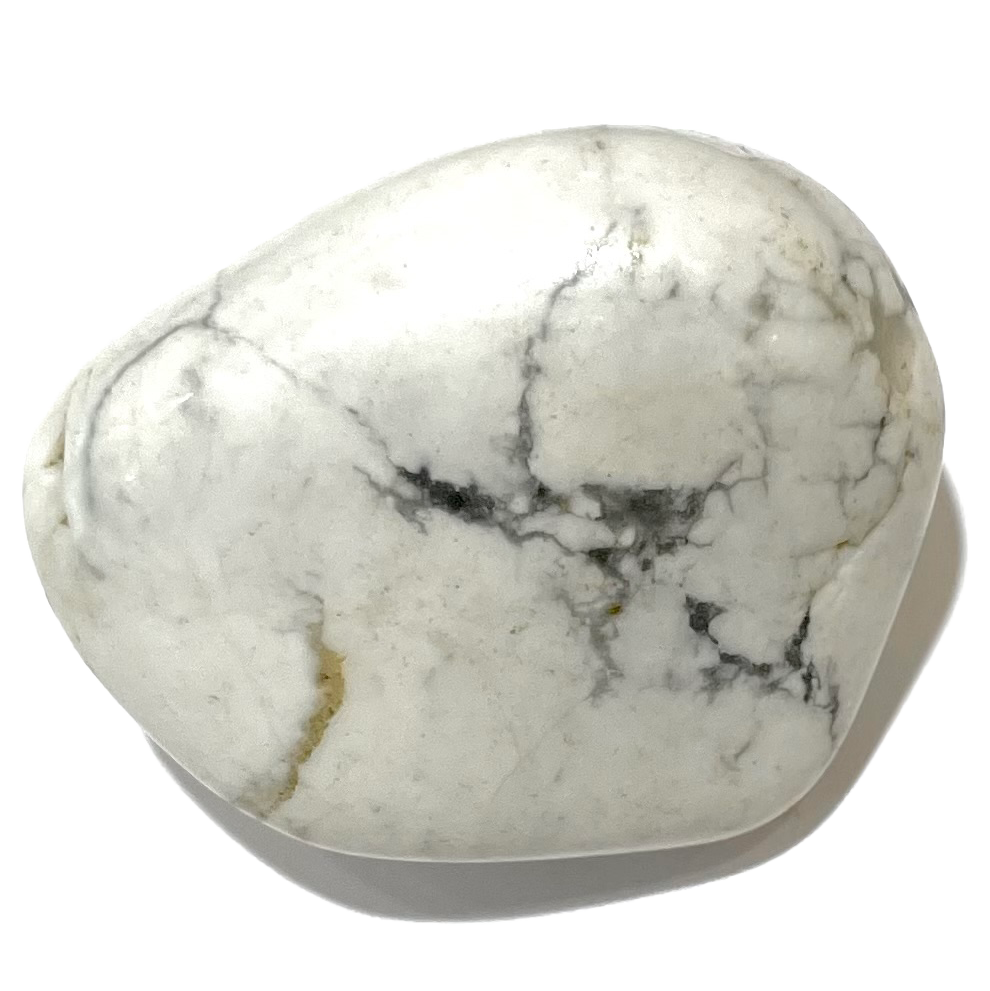 A tumble polished white howlite stone.  The stone is white with a black webbed matrix.