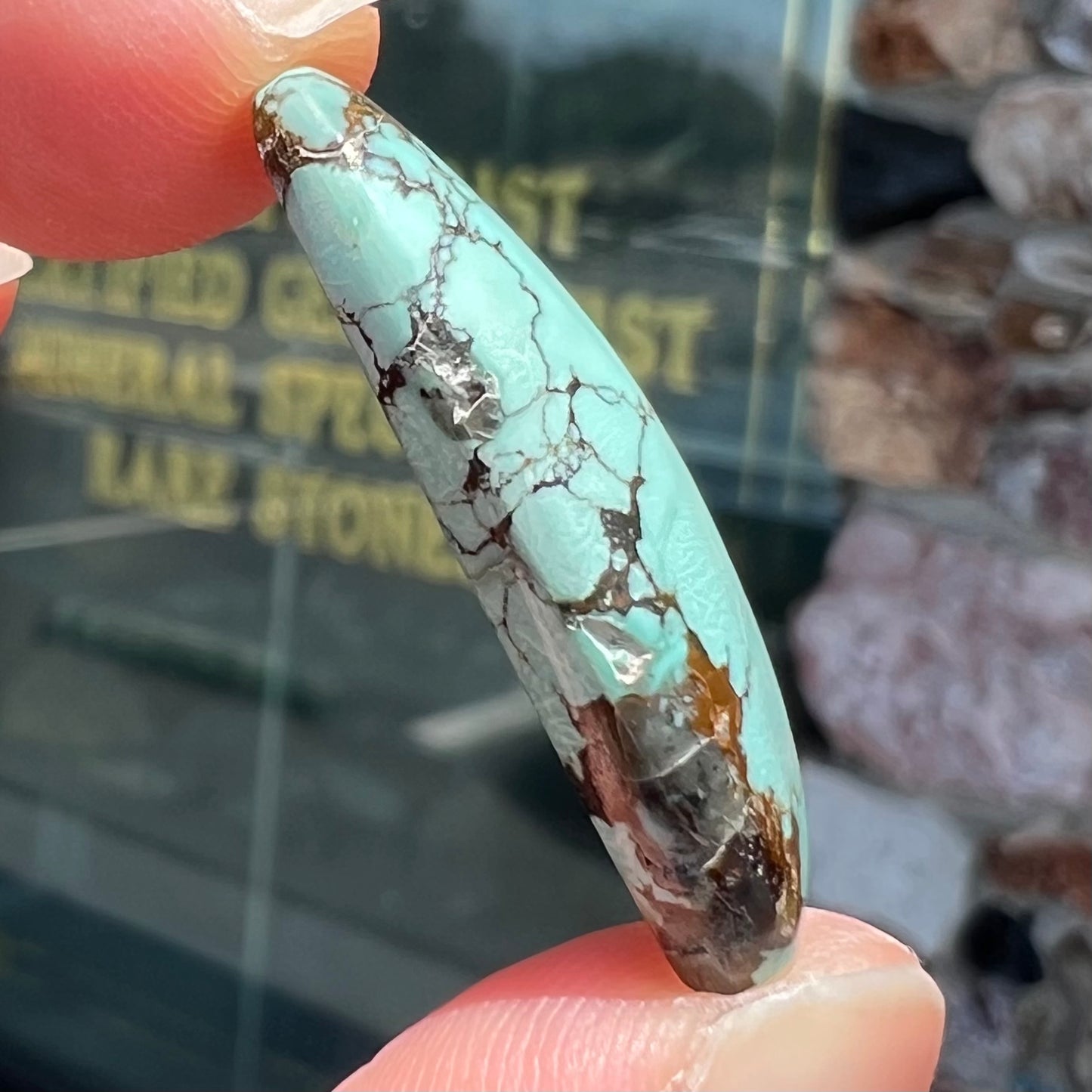 A loose, barrel cabochon cut Courtland-Gleeson turquoise stone. The stone is greenish blue with black and brown matrix.