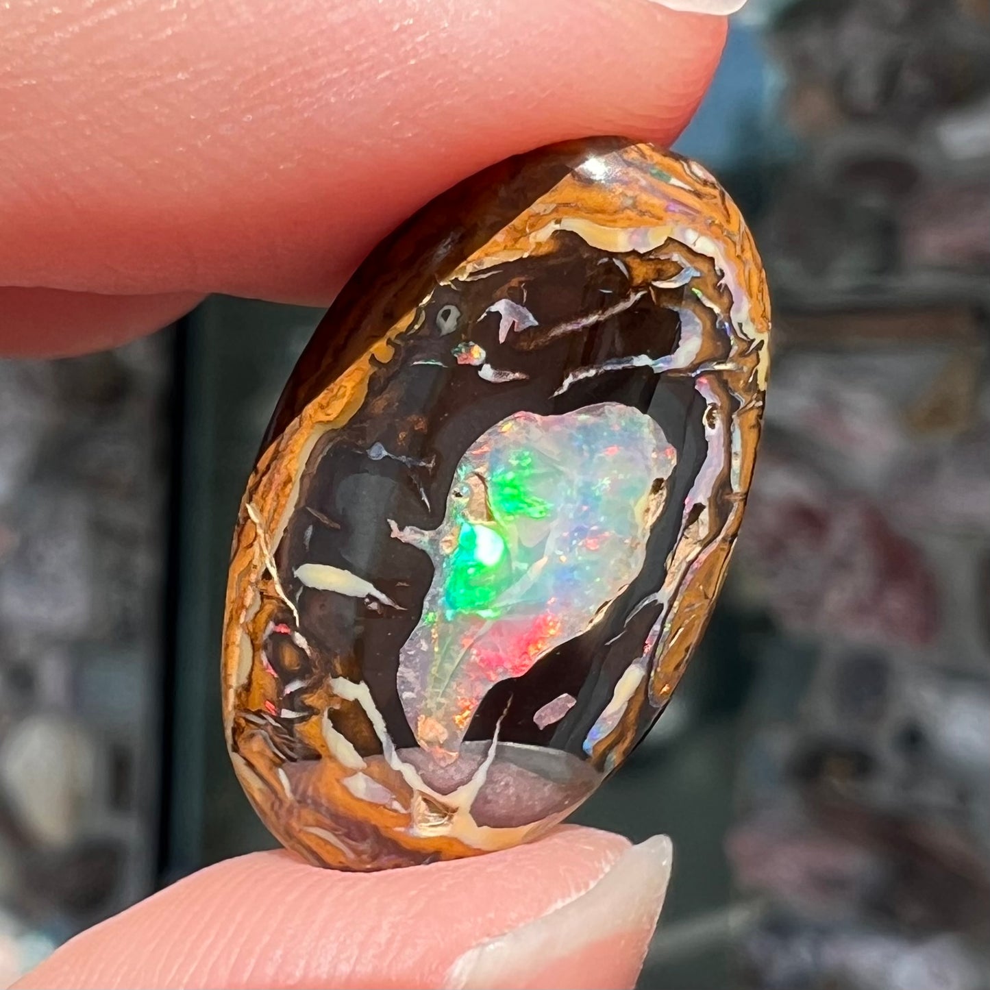 A polished Yowah nut boulder opal from Yowah, Australia. The piece is ironstone with a center of precious opal.