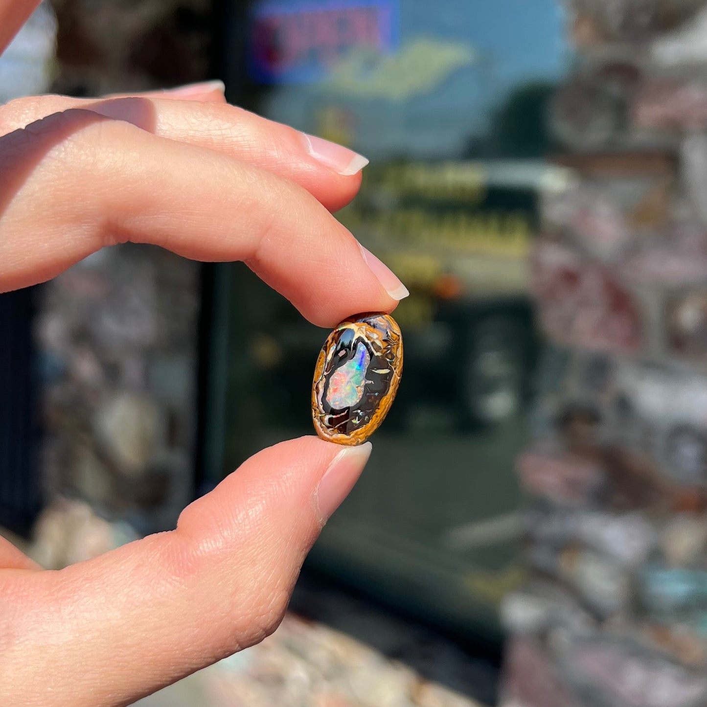 A polished Yowah nut boulder opal from Yowah, Australia. The piece is ironstone with a center of precious opal.