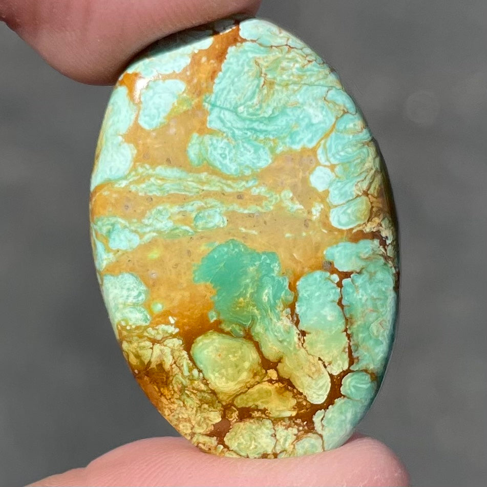 Turquoise #95 | Royston