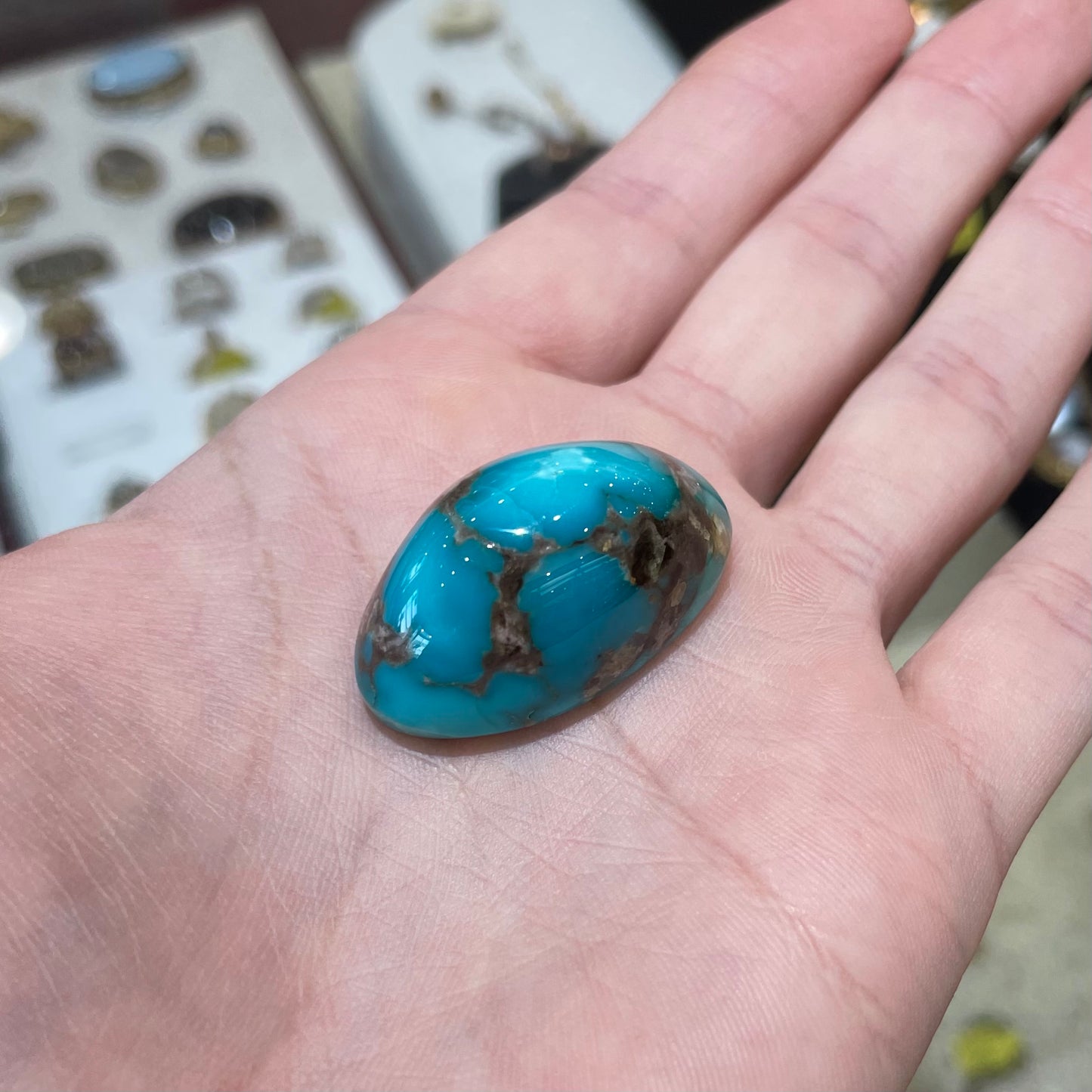 Turquoise #76 | Sonoran