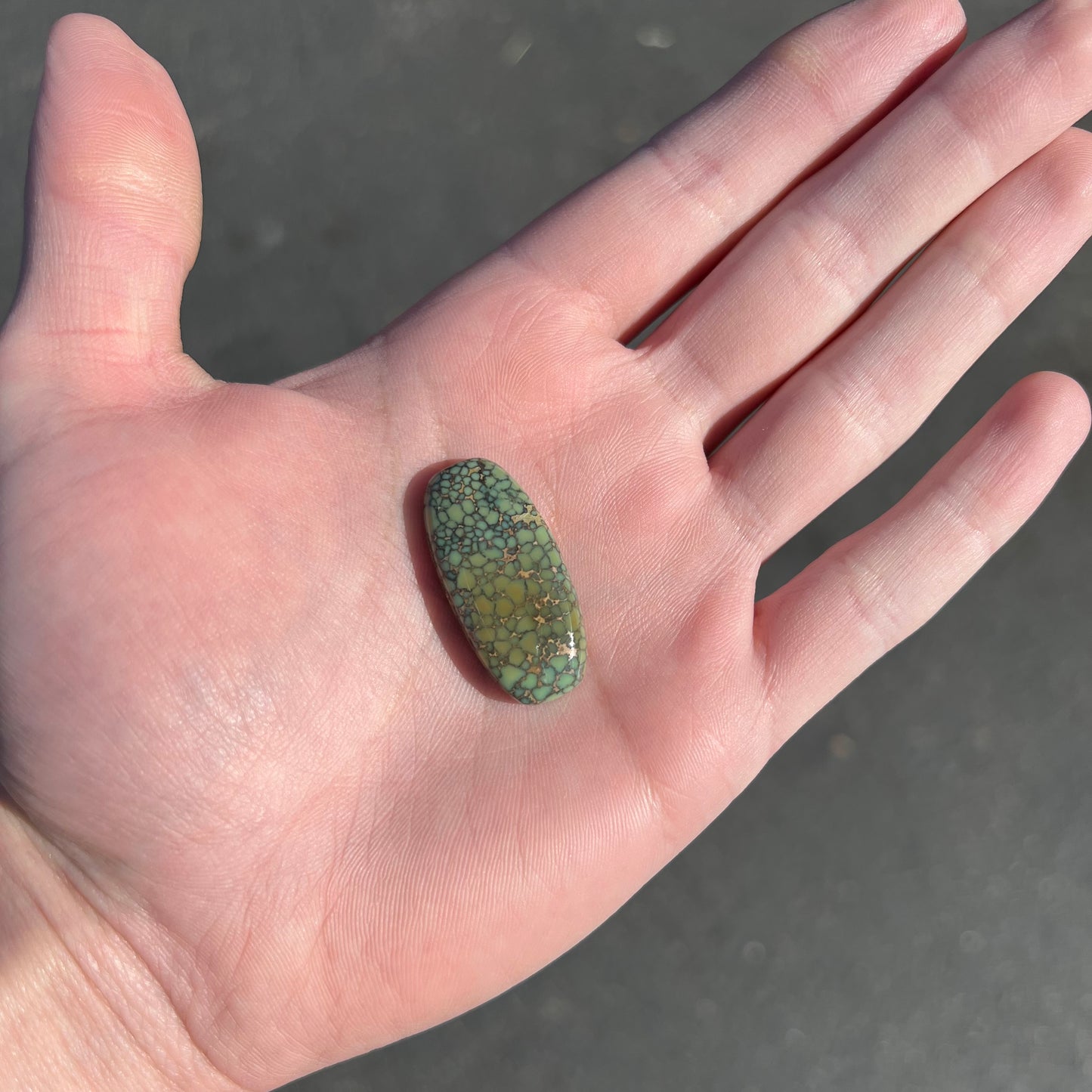 A loose, cabochon cut green turquoise from the Number 8 Mine in Lander County, Nevada.