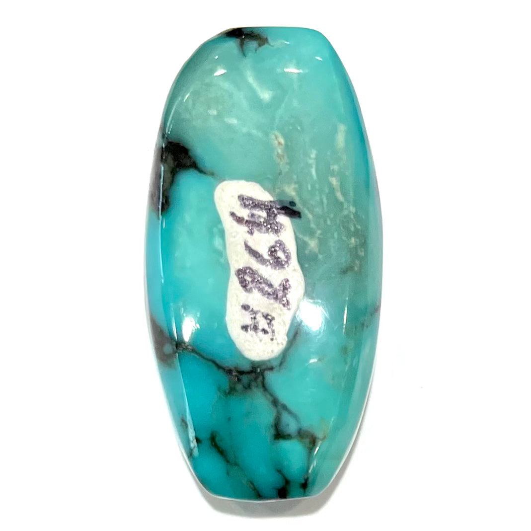 Turquoise #264 | Pinto Valley