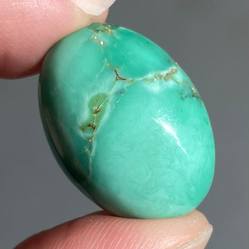 Turquoise #265 | Tyrone