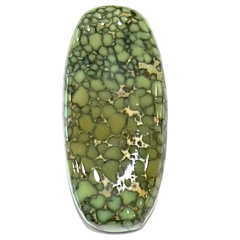 A loose, cabochon cut green turquoise from the Number 8 Mine in Lander County, Nevada.
