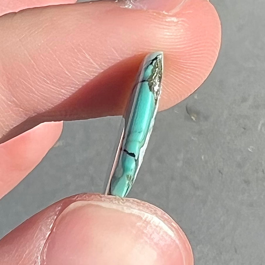 Turquoise #283B | Courtland-Gleeson