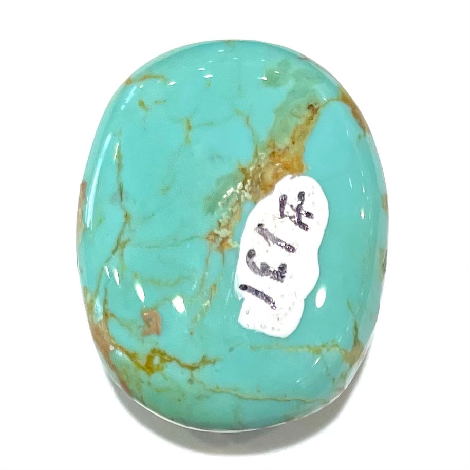 Turquoise #131 | Royston