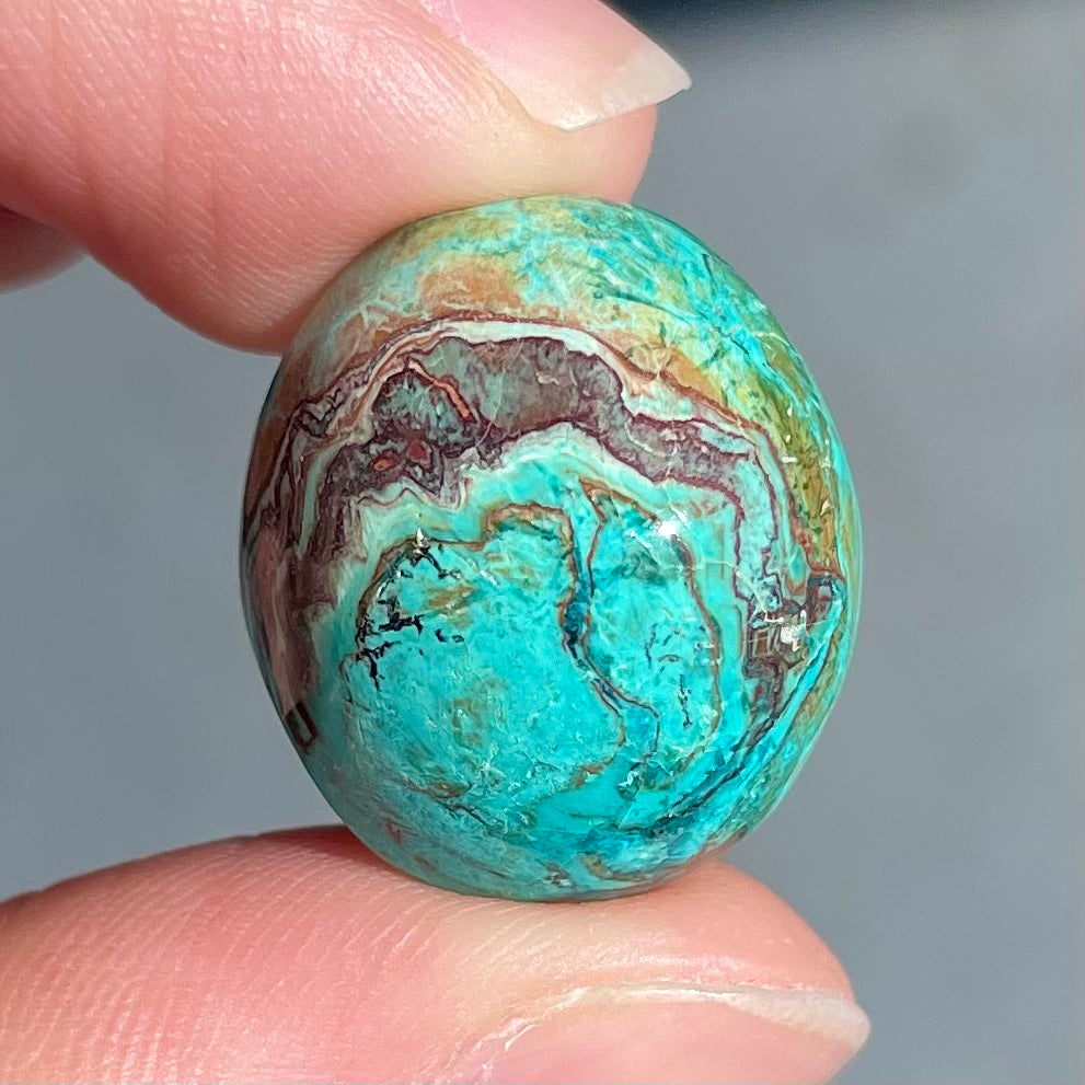 Eilat Stone Cabochon | #60