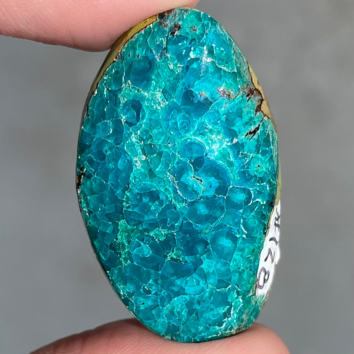 Chrysocolla Cabochon | #128