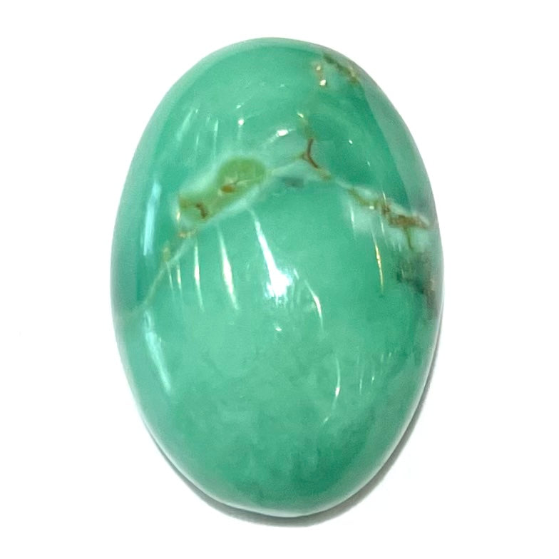 Turquoise #265 | Tyrone