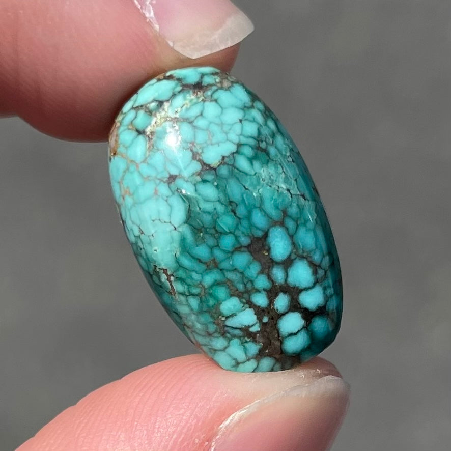 Turquoise #262 | Number 8