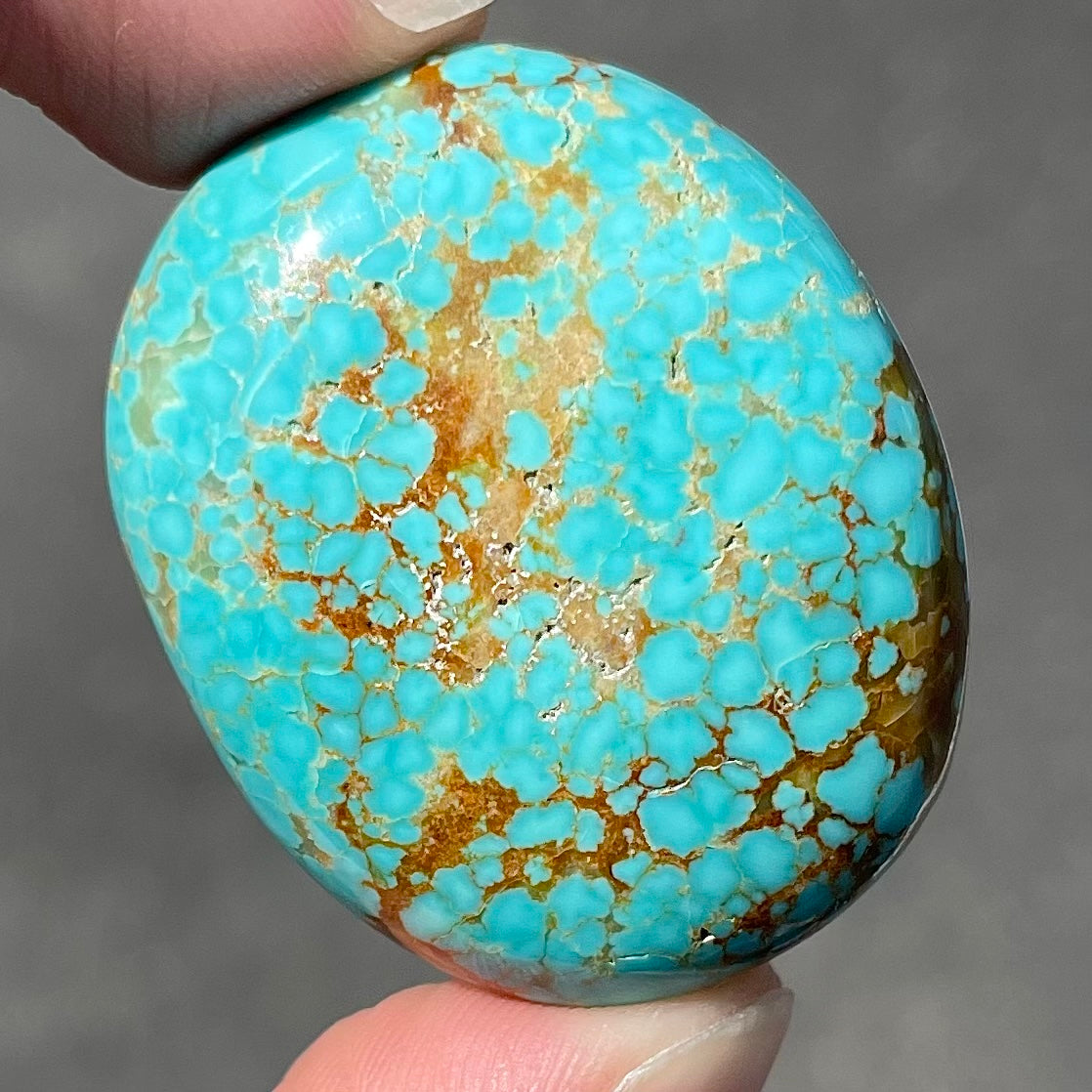 A loose, oval cut turquoise cabochon from Number 8 Mine, Nevada. The stone is blue with a golden brown webbed matrix.