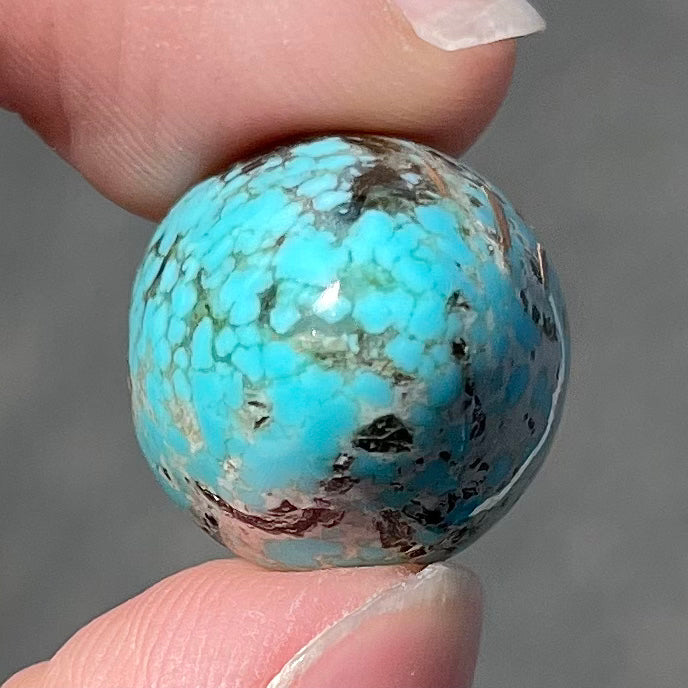 A loose, multicolored, round cabochon cut turquoise stone from Valley Blue Mine in Lander County, Nevada.