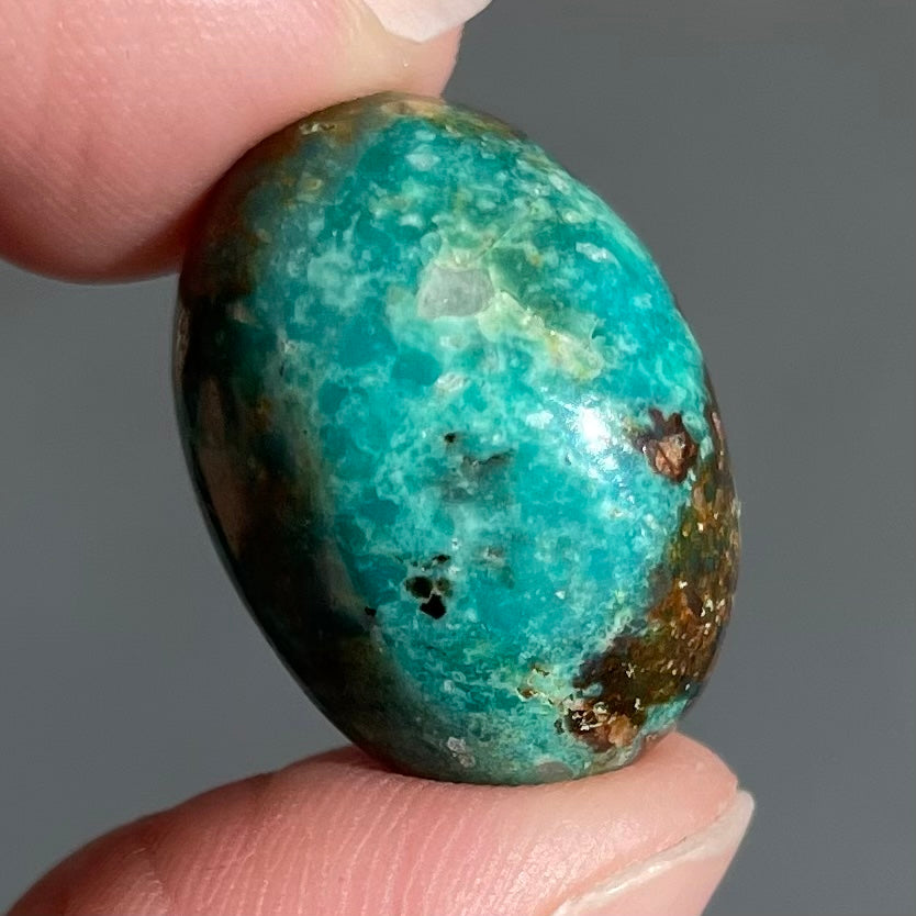Turquoise #247 | Royston