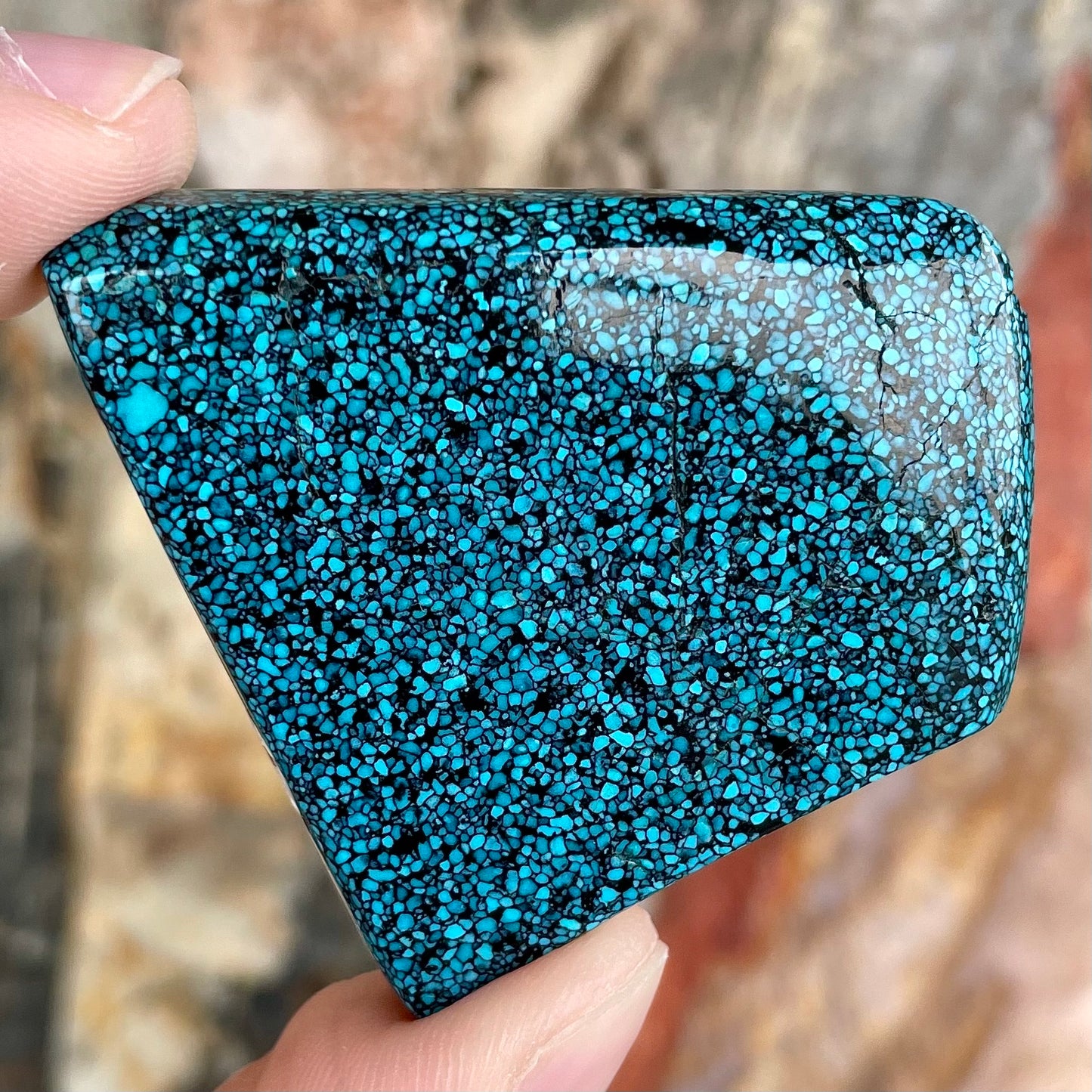 Turquoise #1A | Kingman Black Web
