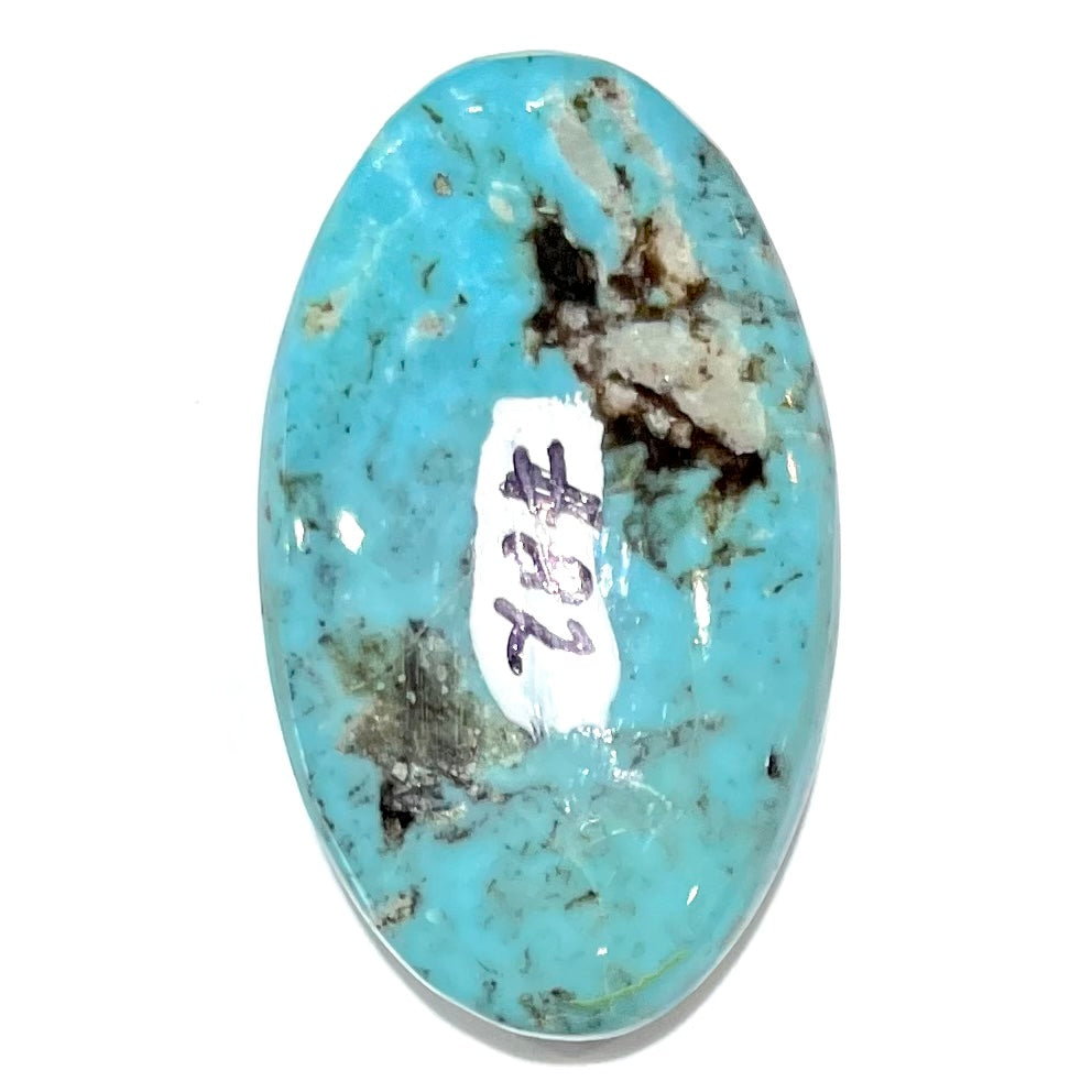 Turquoise #82 | Sleeping Beauty