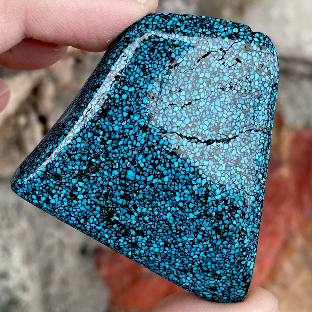 Turquoise #1A | Kingman Black Web
