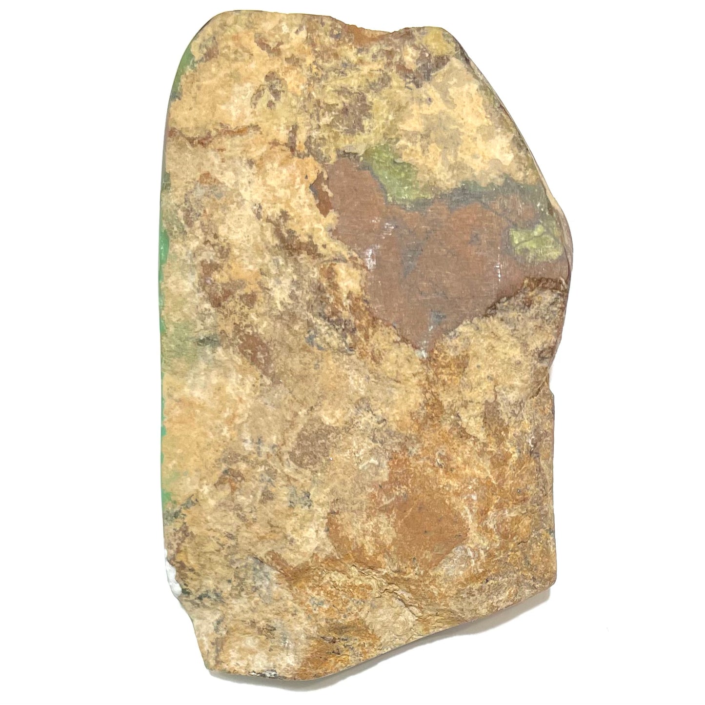 A polished green chrysoprase stone with brown matrix inclusions.