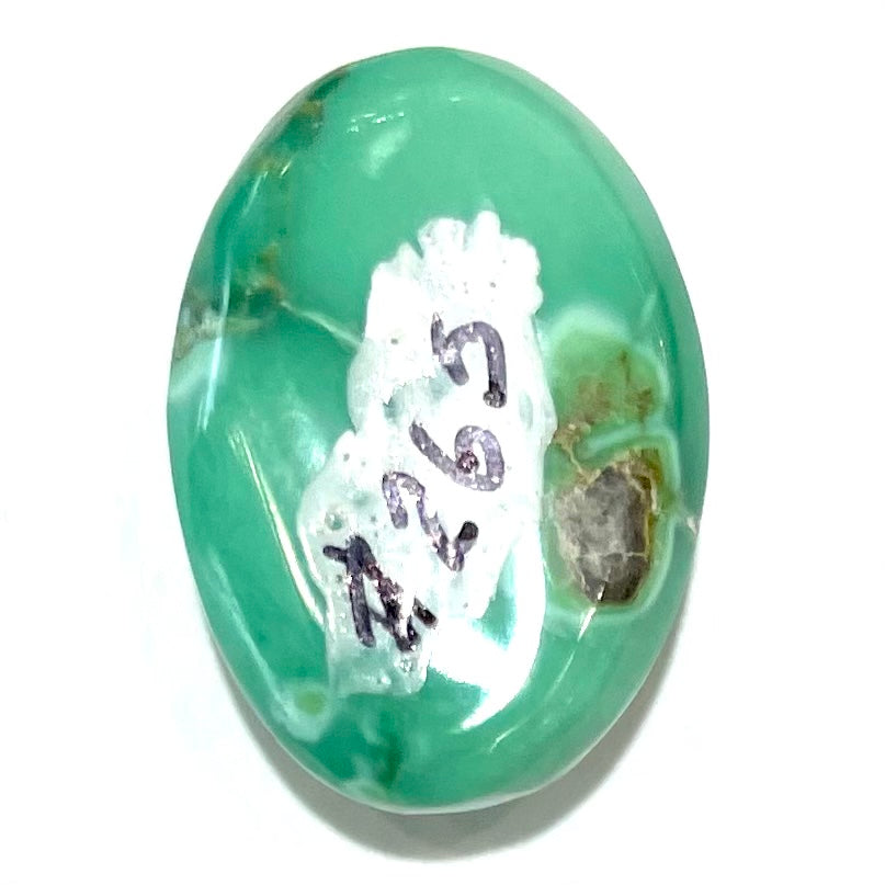 Turquoise #265 | Tyrone