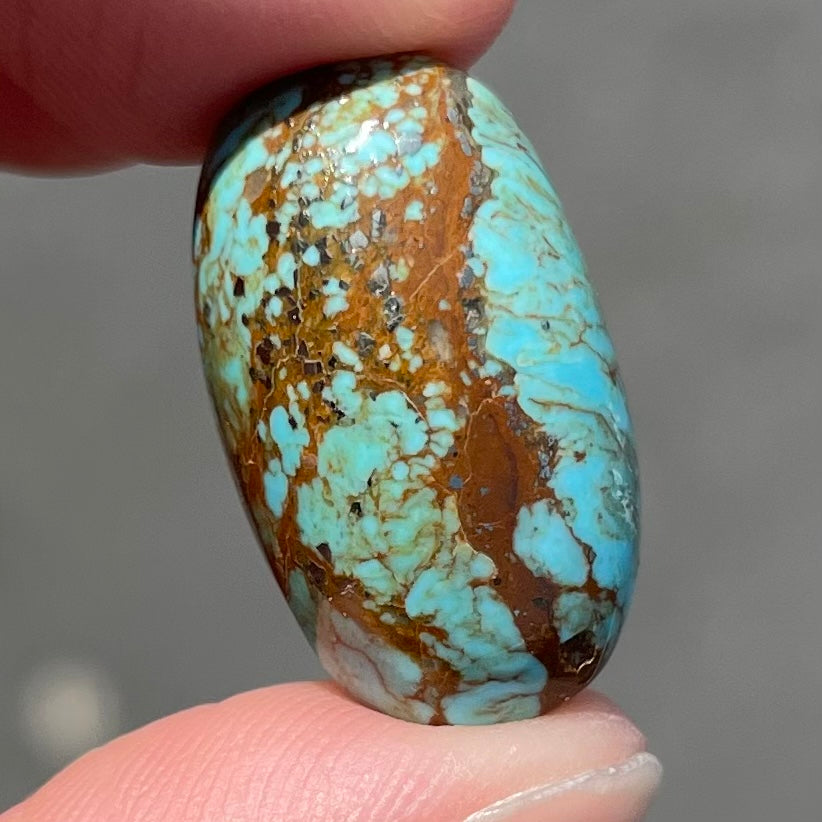 Turquoise #216 | Royston