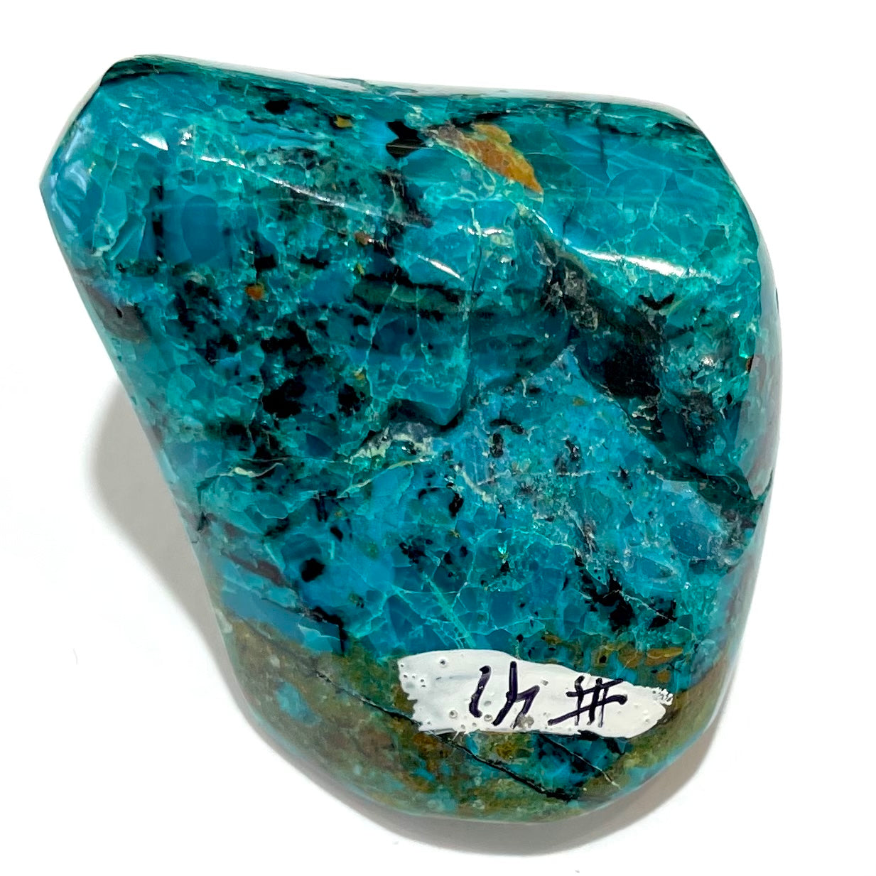 A polished freeform shaped chrysocolla specimen.