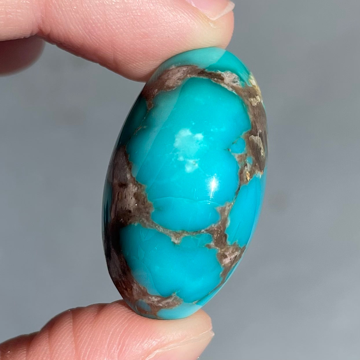 Turquoise #76 | Sonoran