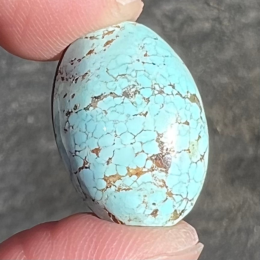 Turquoise #290 | Number 8