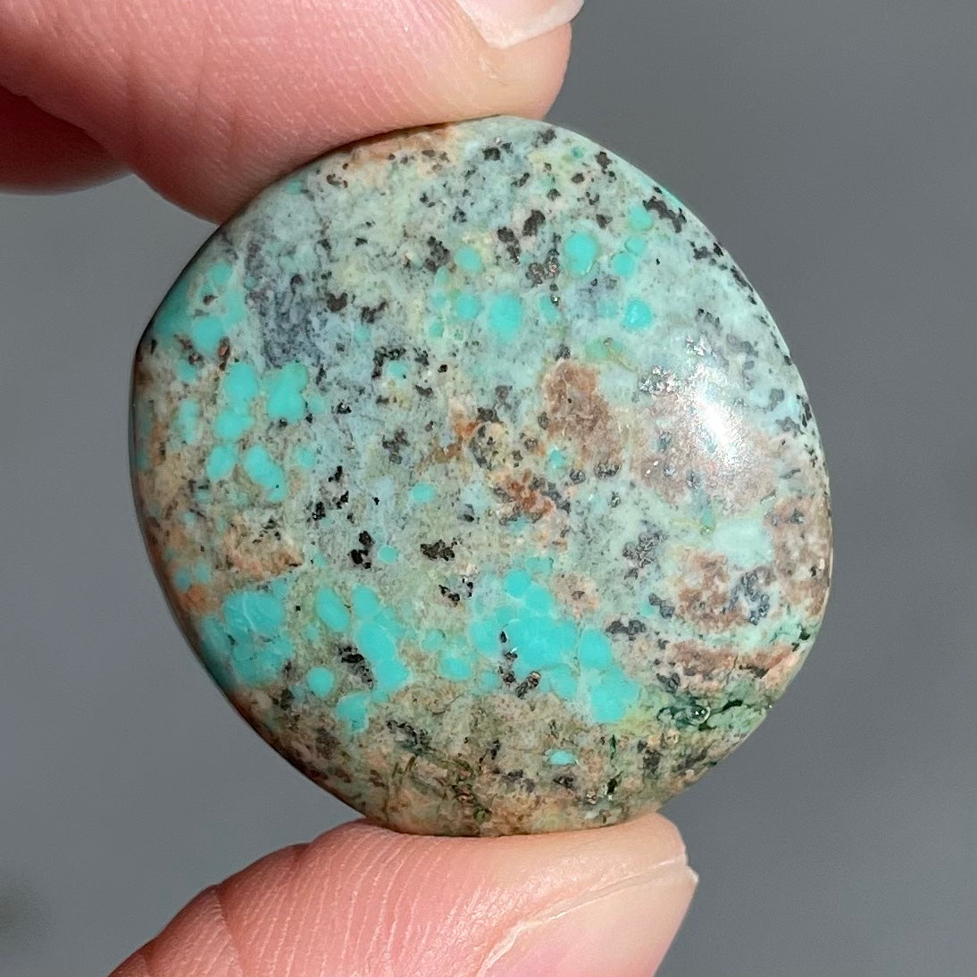 Turquoise #259 | Monte Cristo