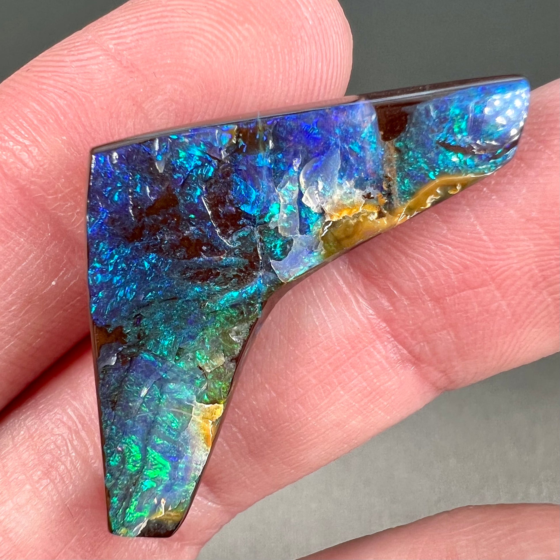 A loose, boomerang shaped boulder opal stone from Quilpie, Australia.  The stone is predominantly blue and green.