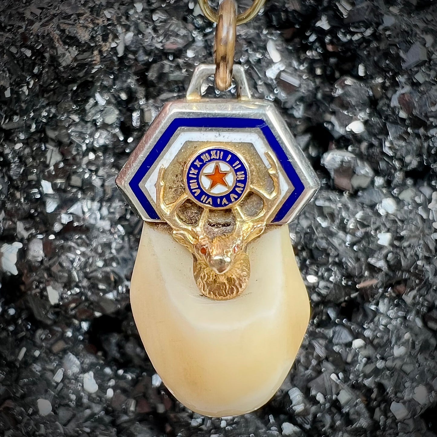 An elk tooth that has been fashioned into a blue enameled gold pendant. There is a decorative elk head cast in yellow gold set on the piece.