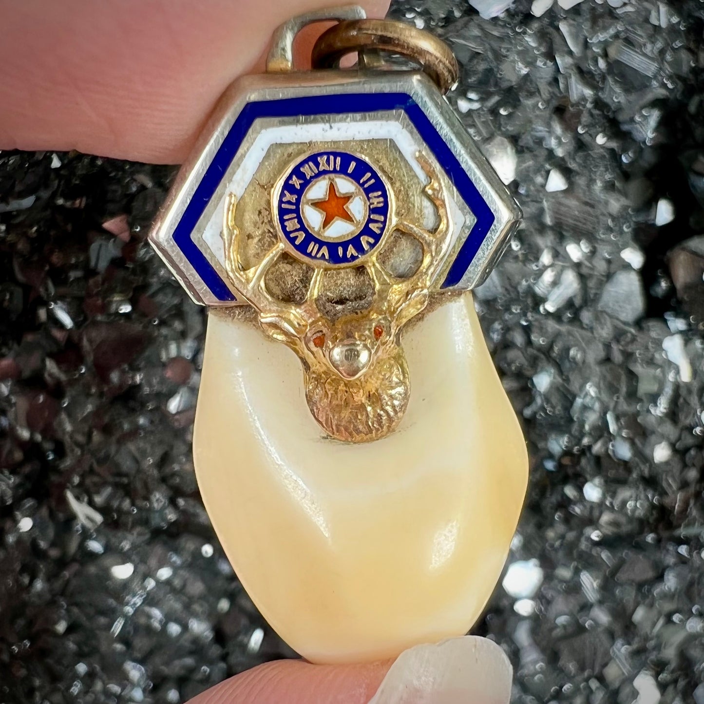 An elk tooth that has been fashioned into a blue enameled gold pendant. There is a decorative elk head cast in yellow gold set on the piece.