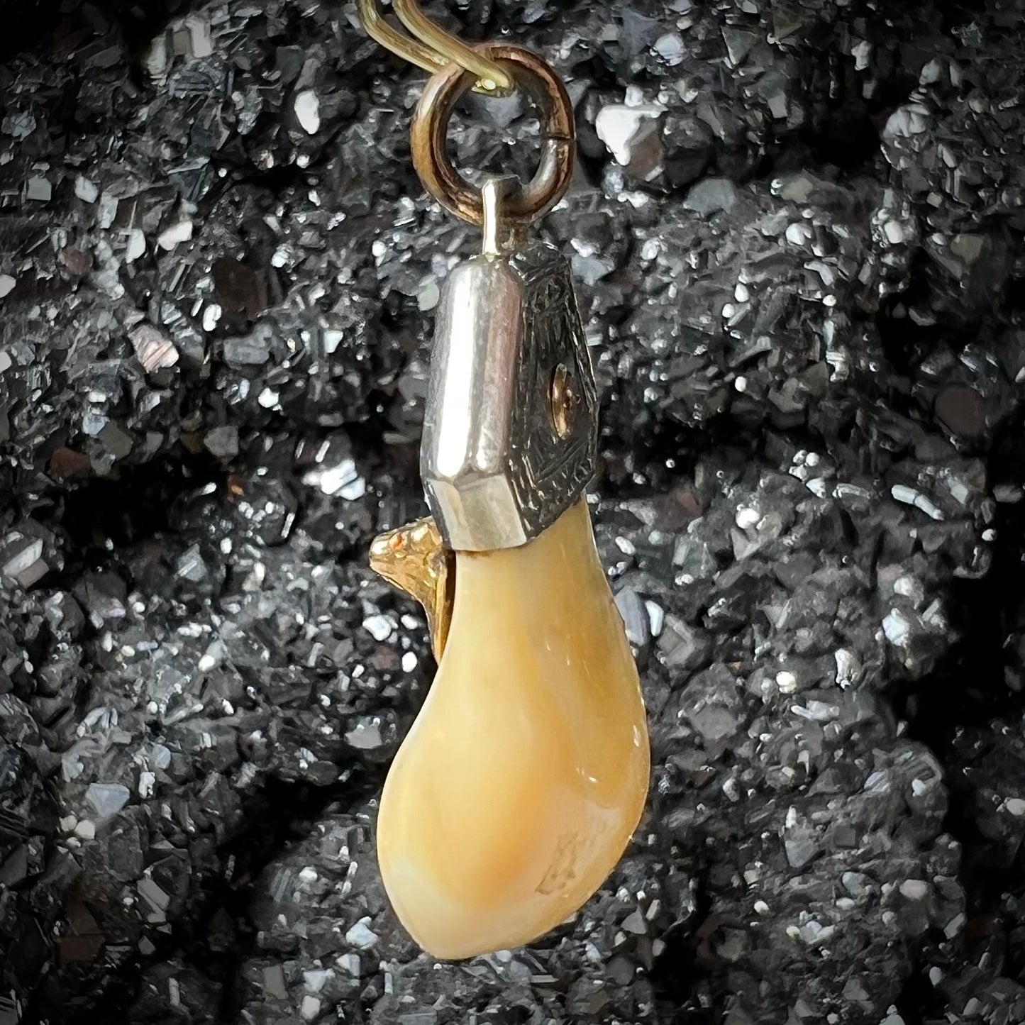 An elk tooth that has been fashioned into a blue enameled gold pendant. There is a decorative elk head cast in yellow gold set on the piece.